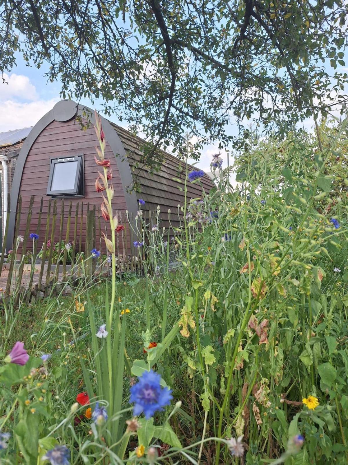 Swifterlodge Kerkenveld 외부 사진